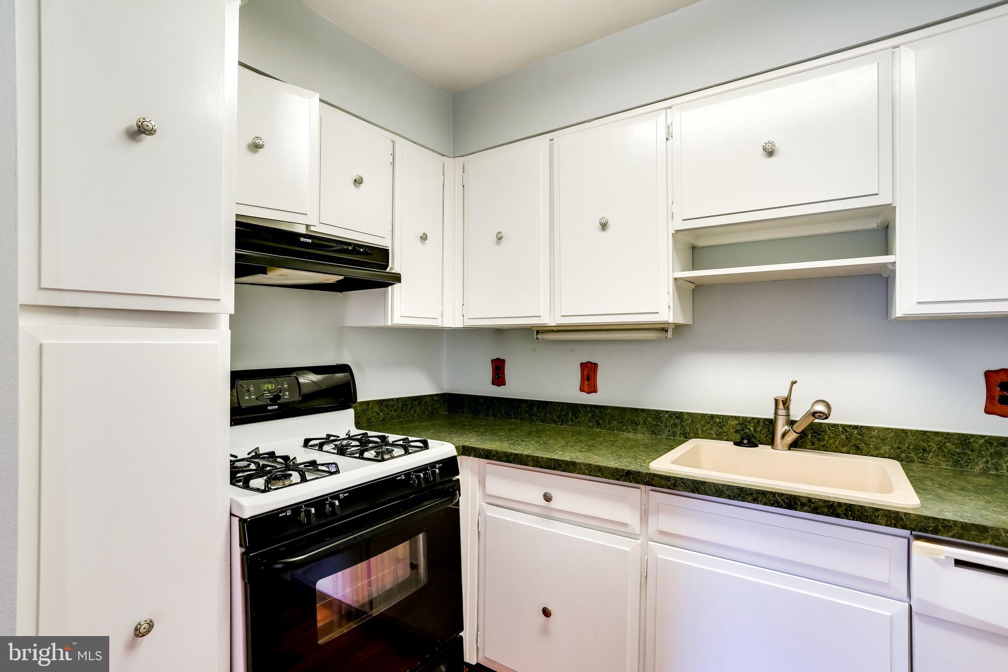 2101 Walsh View Terrace, Unit 17202 Silver Spring, MD 20902 - Photo 12 of 46 Gallery Image 12