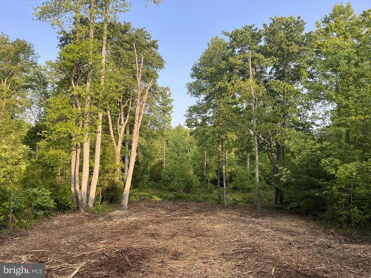 Lot 3 Ridge Road Barboursville, VA 22923 - Photo 12 of 21 Gallery Image 12