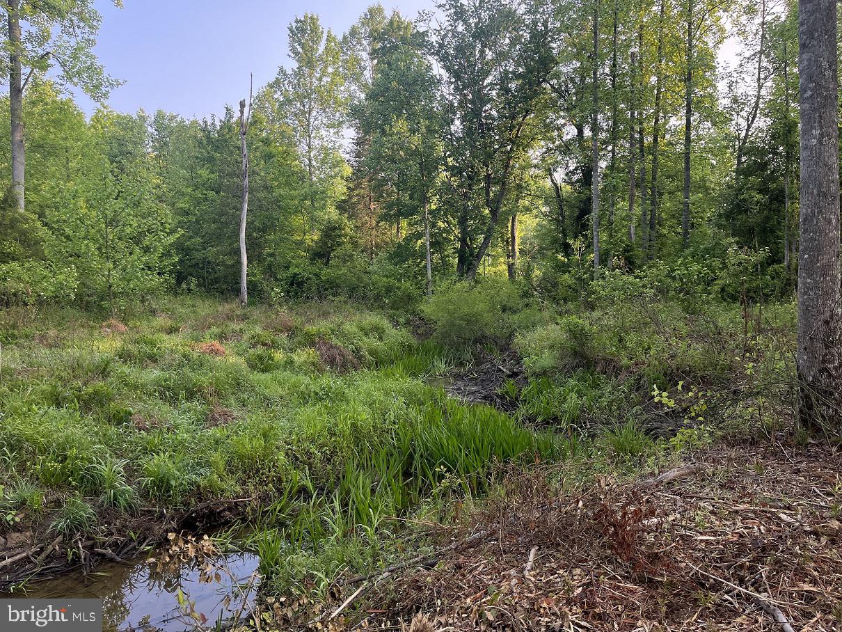 Lot 3 Ridge Road Barboursville, VA 22923 - Photo 13 of 21 Gallery Image 13