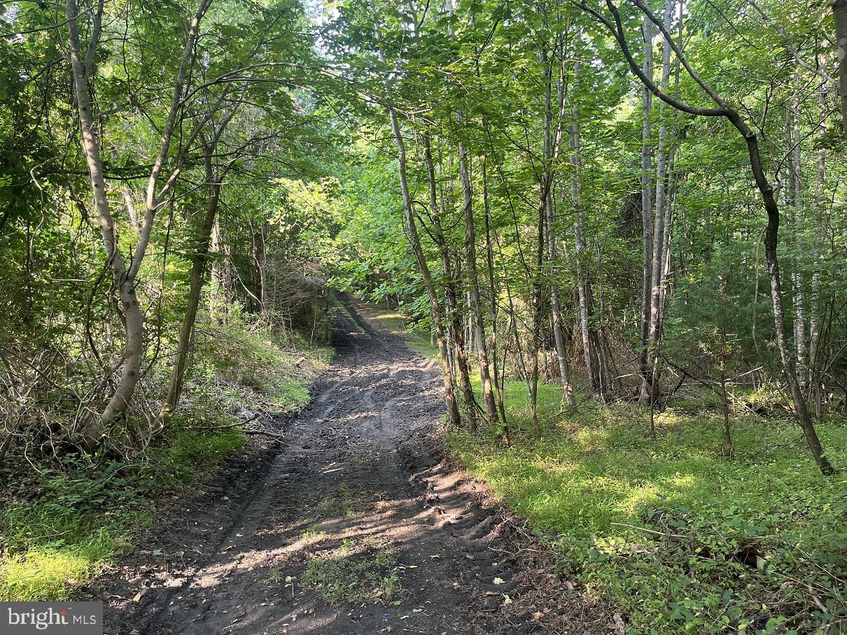 Lot 3 Ridge Road Barboursville, VA 22923 - Photo 21 of 21 Gallery Image 21
