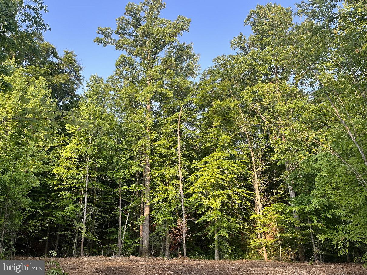 Lot 3 Ridge Road Barboursville, VA 22923 - Photo 6 of 21 Gallery Image 6