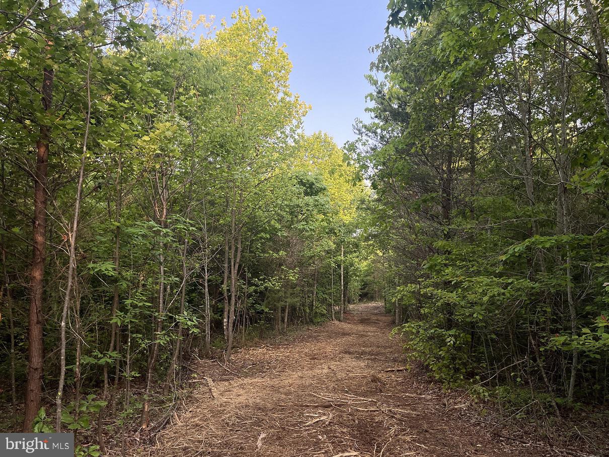 Lot 3 Ridge Road Barboursville, VA 22923 - Photo 10 of 21 Gallery Image 10