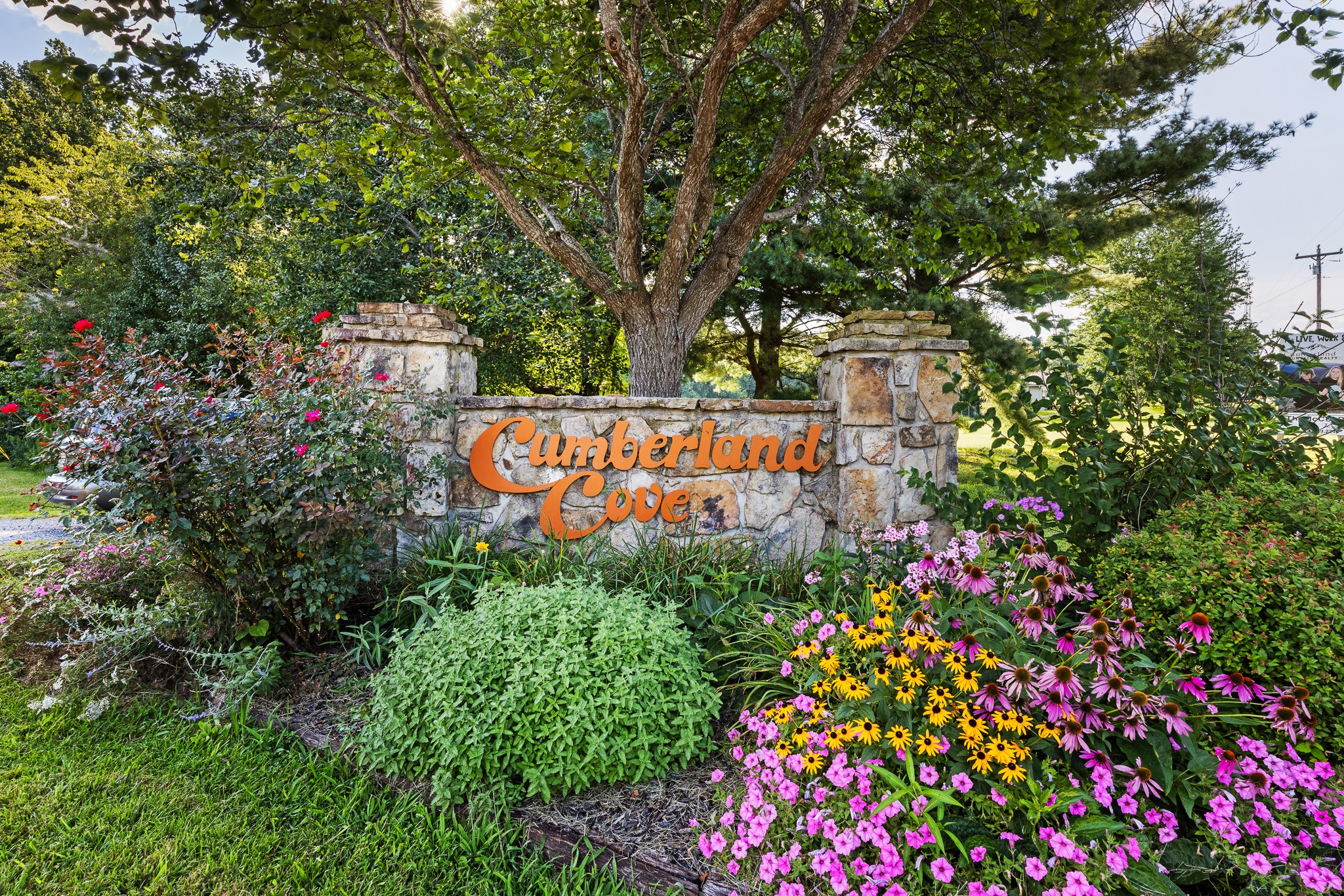 520 Cliff Park Road Monterey, TN 38574 - Photo 3 of 26 Gallery Image 3
