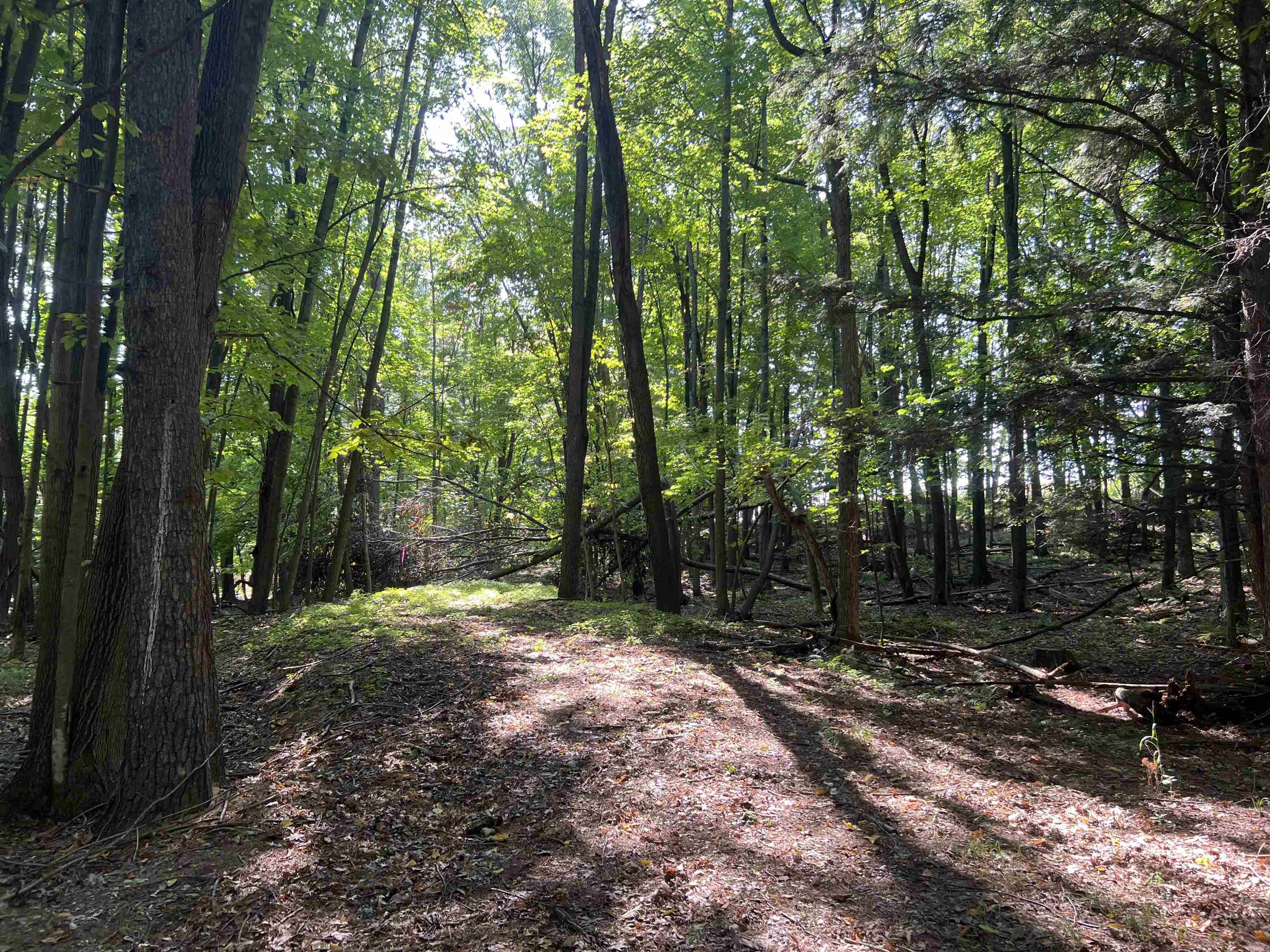 Ridge Road Shawano, WI 54166 - Photo 1 of 1 Gallery Image 1