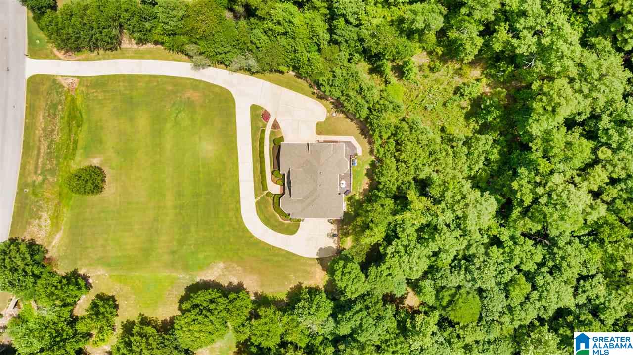 208 Quail Ridge Road Helena, AL 35080 - Photo 11 of 49 Gallery Image 11