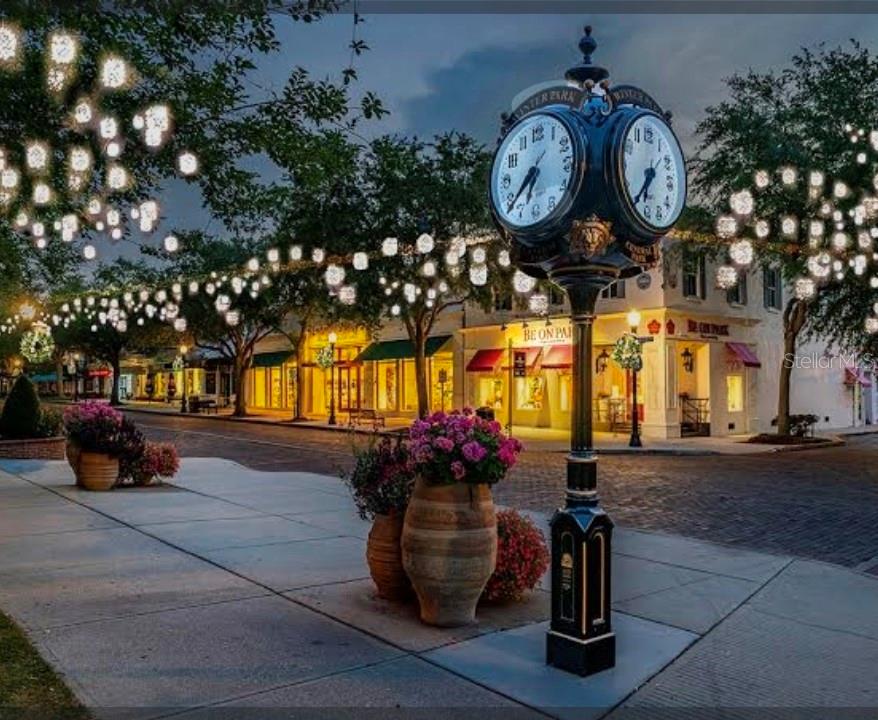 3383 Hamlet Loop Winter Park, FL 32792 - Photo 12 of 14