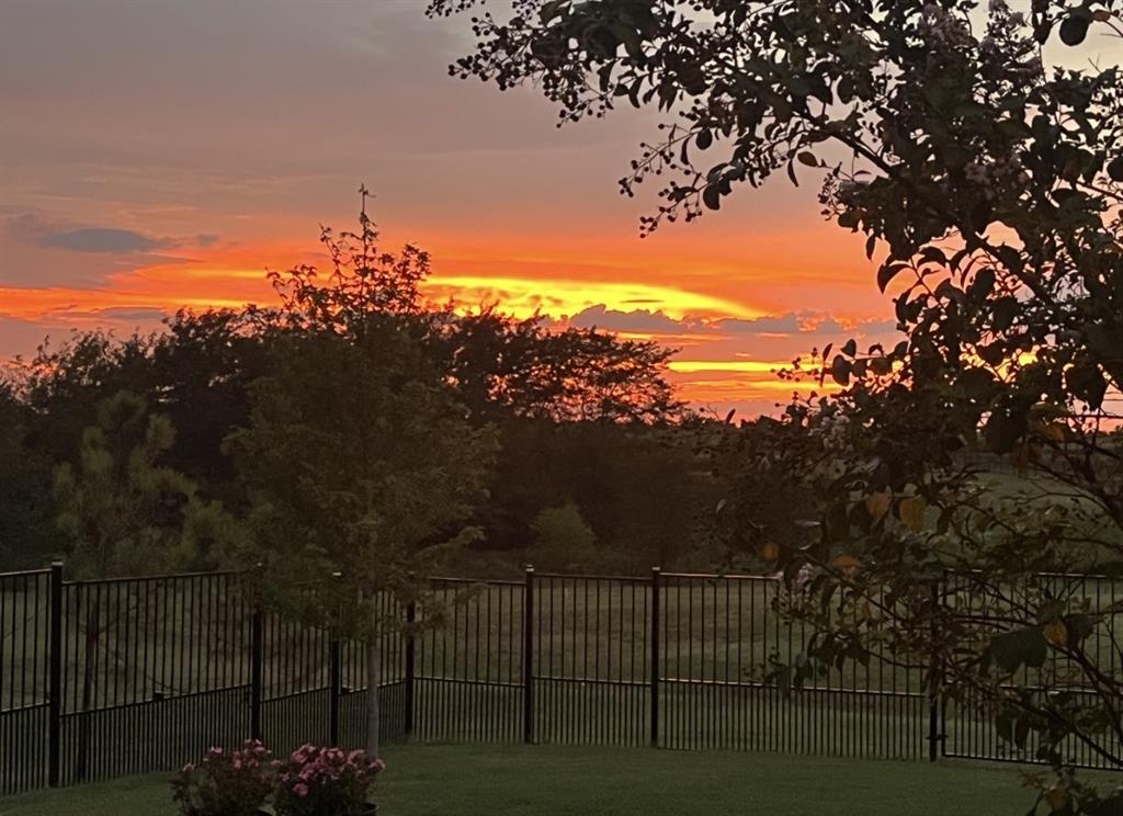 6513 Earley Way Forney, TX 75126 - Photo 34 of 36