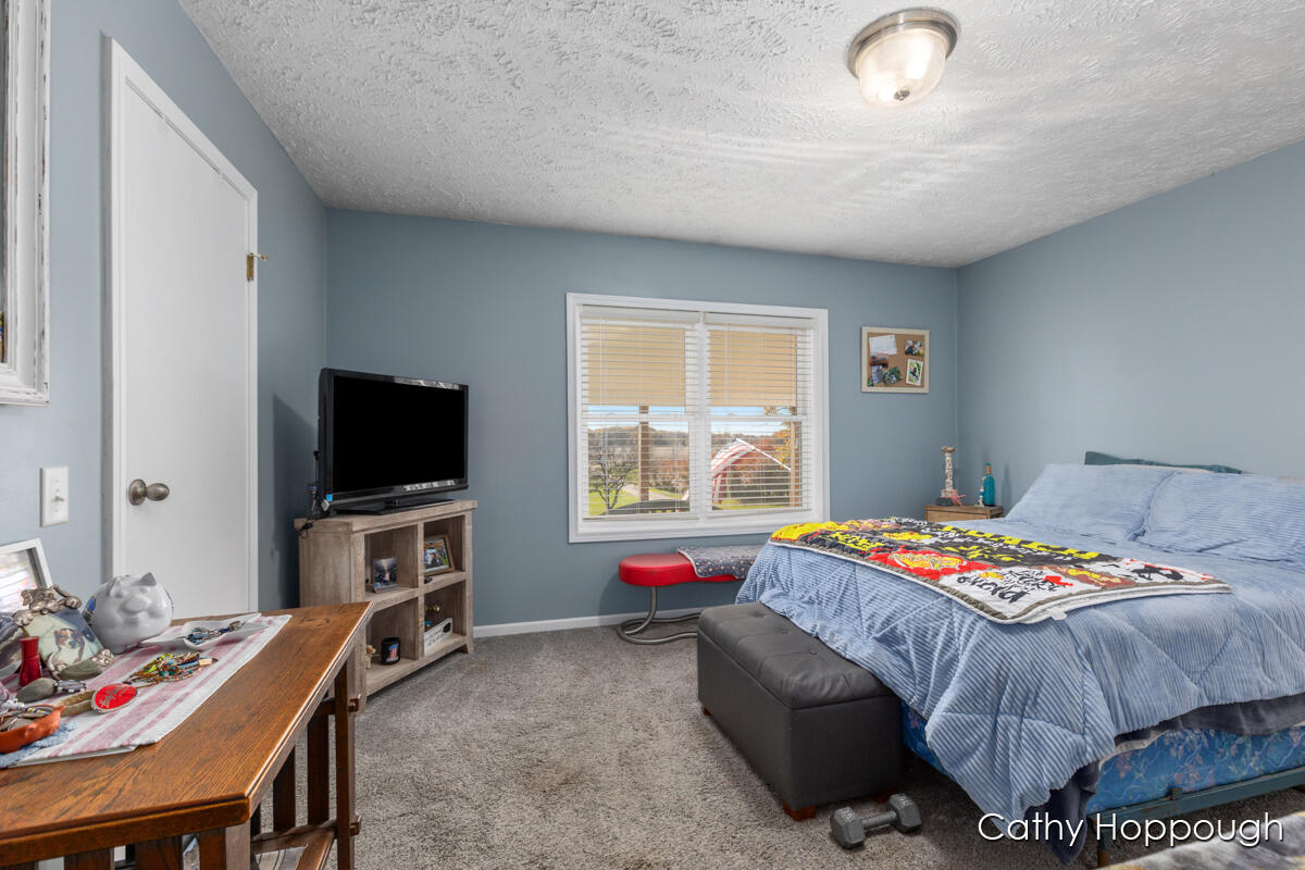 3494 Bradford Road Ionia, MI 48846 - Photo 17 of 48