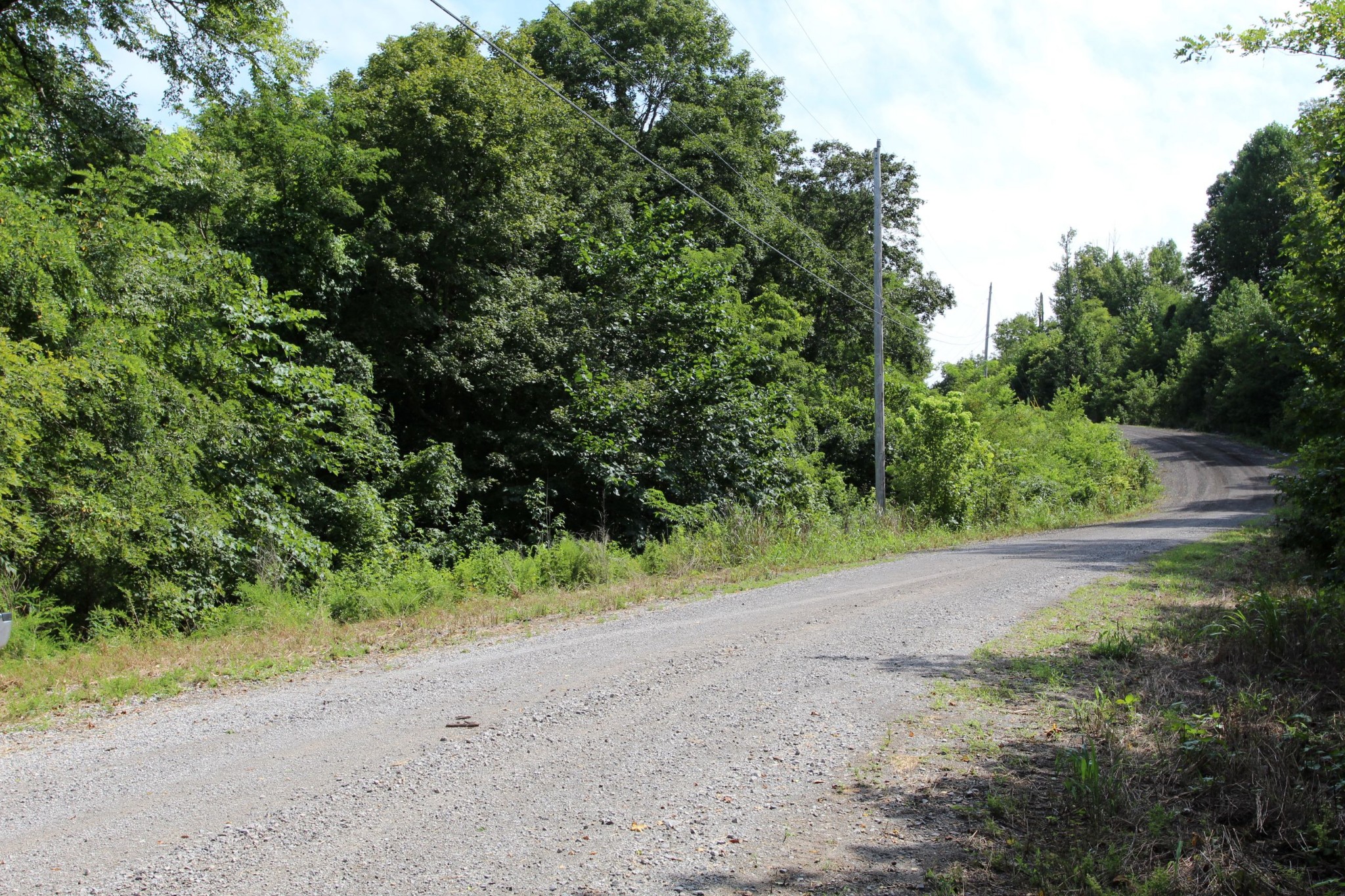 0 Diamond Point Drive Bumpus Mills, TN 37028 - Photo 14 of 20 a view of a dirt road with trees in the background