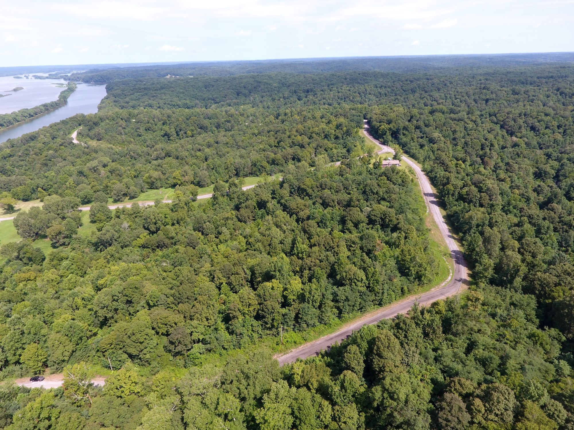 0 Diamond Point Drive Bumpus Mills, TN 37028 - Photo 9 of 20 an aerial view of forest
