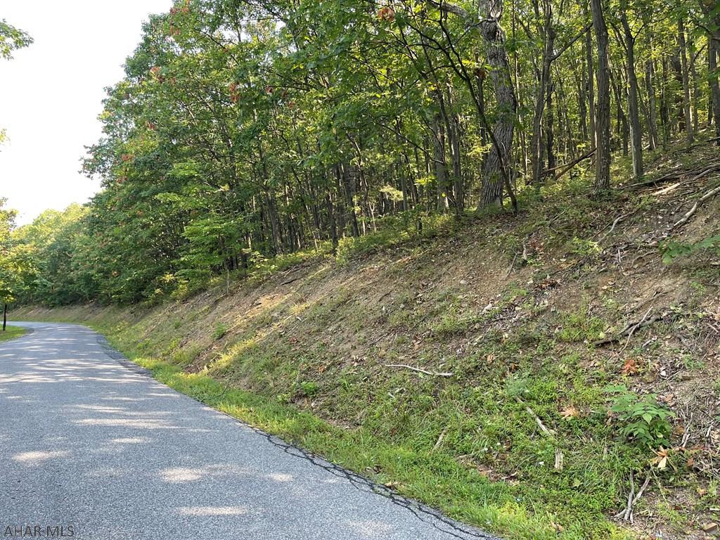 Lot 8 Rice Road Clearville, PA 15535 - Photo 11 of 13 a view of a yard with plants and trees