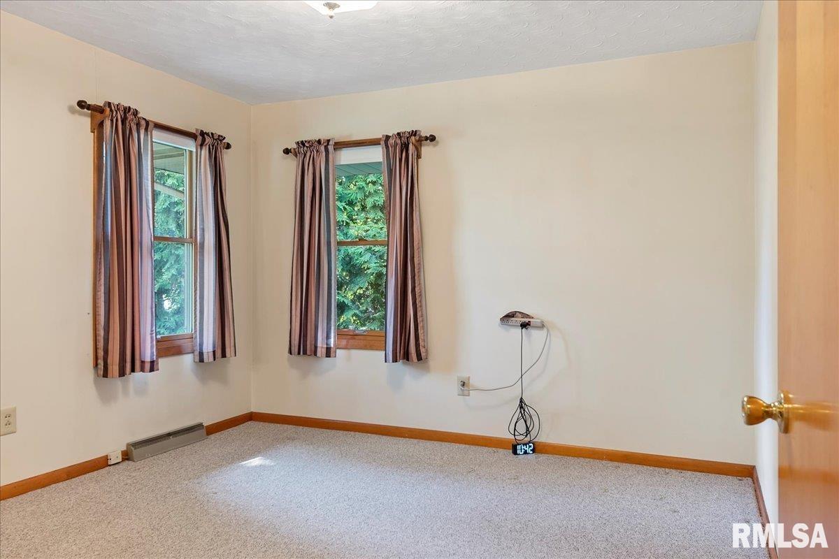 13 Sherry Lane Rochester, IL 62563 - Photo 18 of 43