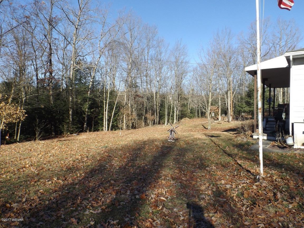 161 Hopple Hollow Road Loganton, PA 17747 - Photo 2 of 22 Landis yard