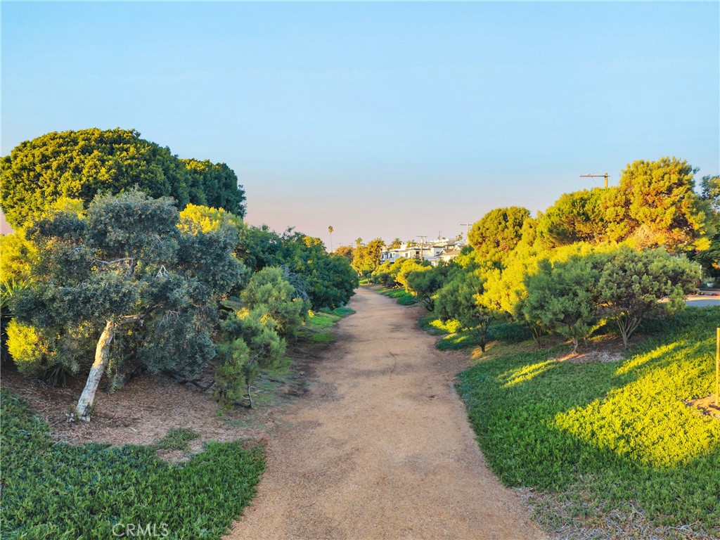514 Ardmore Avenue Hermosa Beach, CA 90254 - Photo 52 of 54 a view of a pathway with a yard