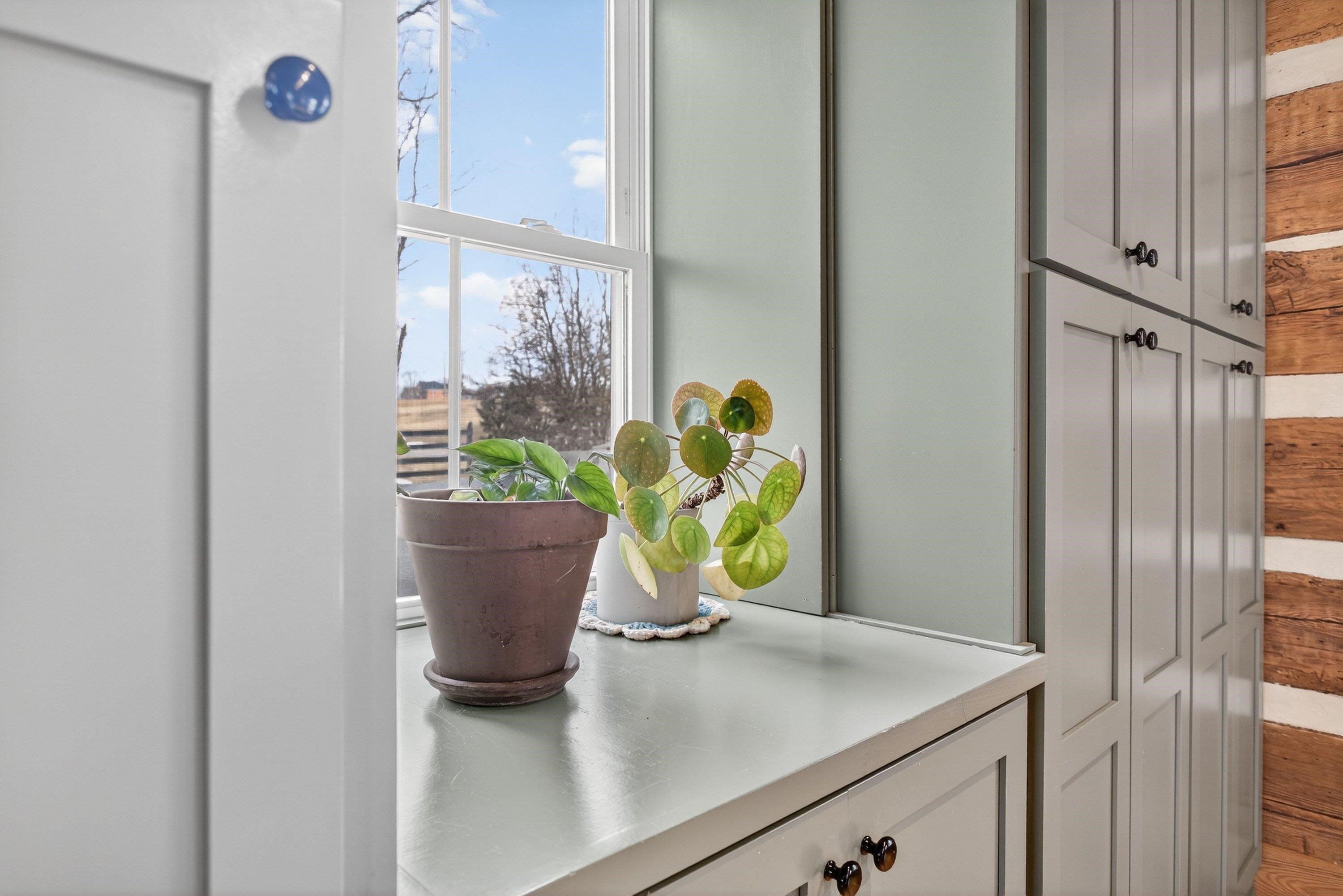 2862 Osceola Springs Road Harrisonburg, VA 22801 - Photo 7 of 75 a view of a glass door with a potted plant on a counter