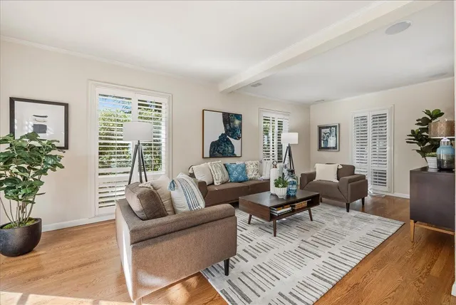 a living room with furniture and a potted plant