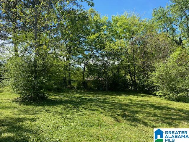 329 Sunhill Road Northwest Birmingham, AL 35215 - Photo 5 of 18