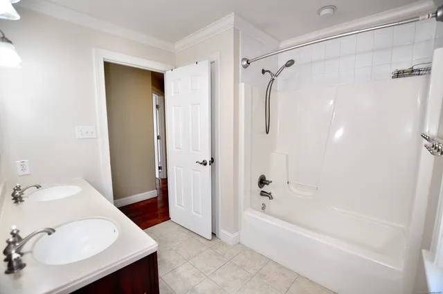 a bathroom with a tub shower sink and vanity
