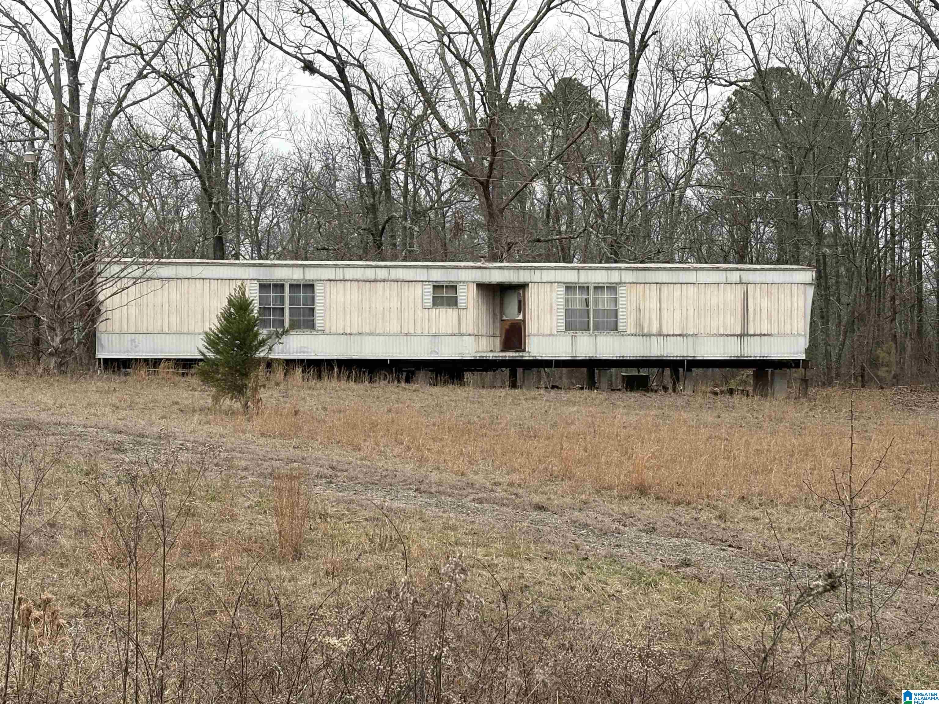3349 Nail Road, Unit 40 6 ACRES / Warrior, AL 35180 - Photo 10 of 16
