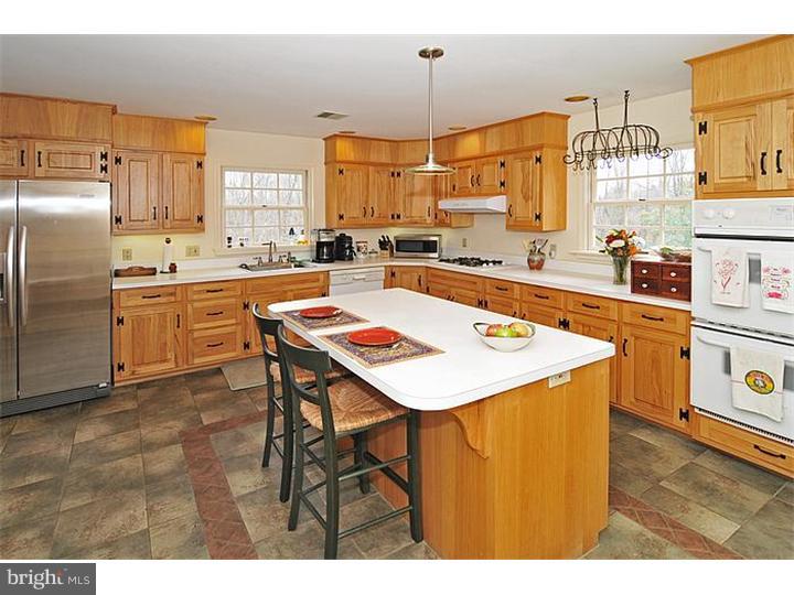 819 West Thatcher Road Quakertown, PA 18951 - Photo 3 of 25 Kitchen