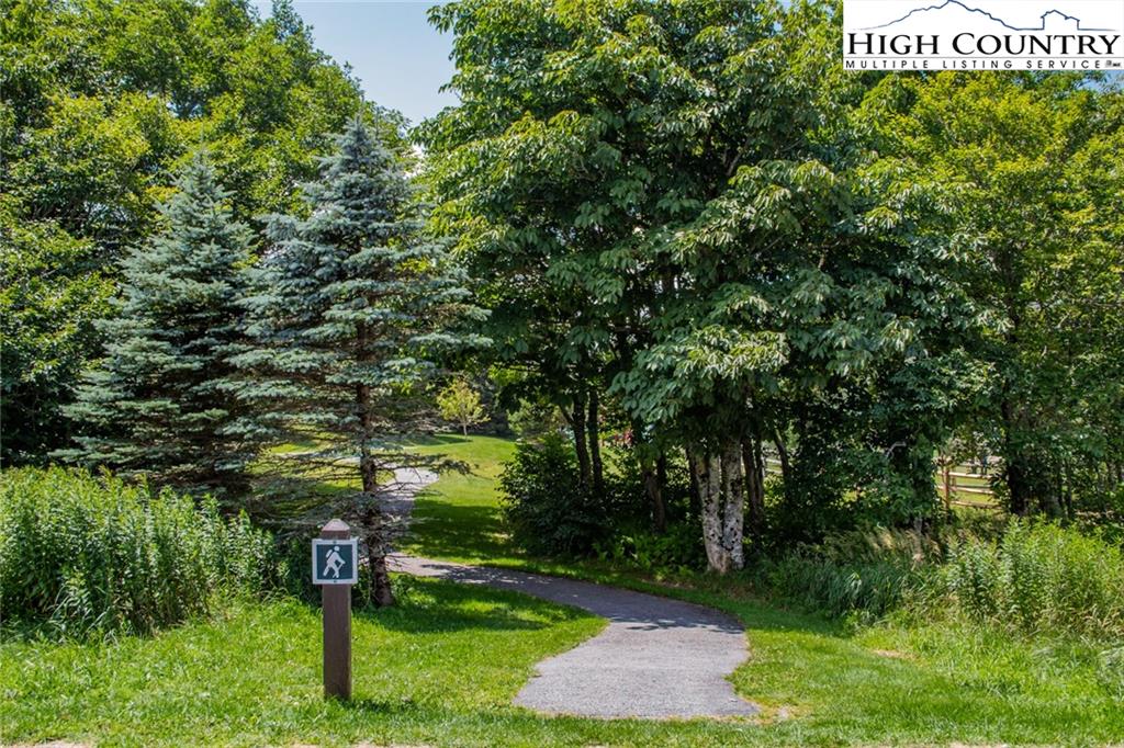 301 Pinnacle Inn Road, Unit 2316 Beech Mountain, NC 28604 - Photo 43 of 50 a view of a park that has a tree