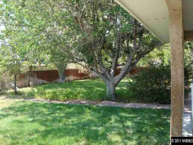 303 Rice Road Fallon, NV 89406 - Photo 12 of 13 a backyard of a house with lots of green space