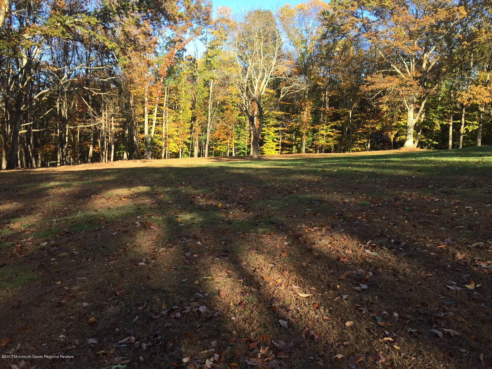 101 Clover Hill Road Colts Neck, NJ 07722 - Photo 3 of 6 IMG_6134