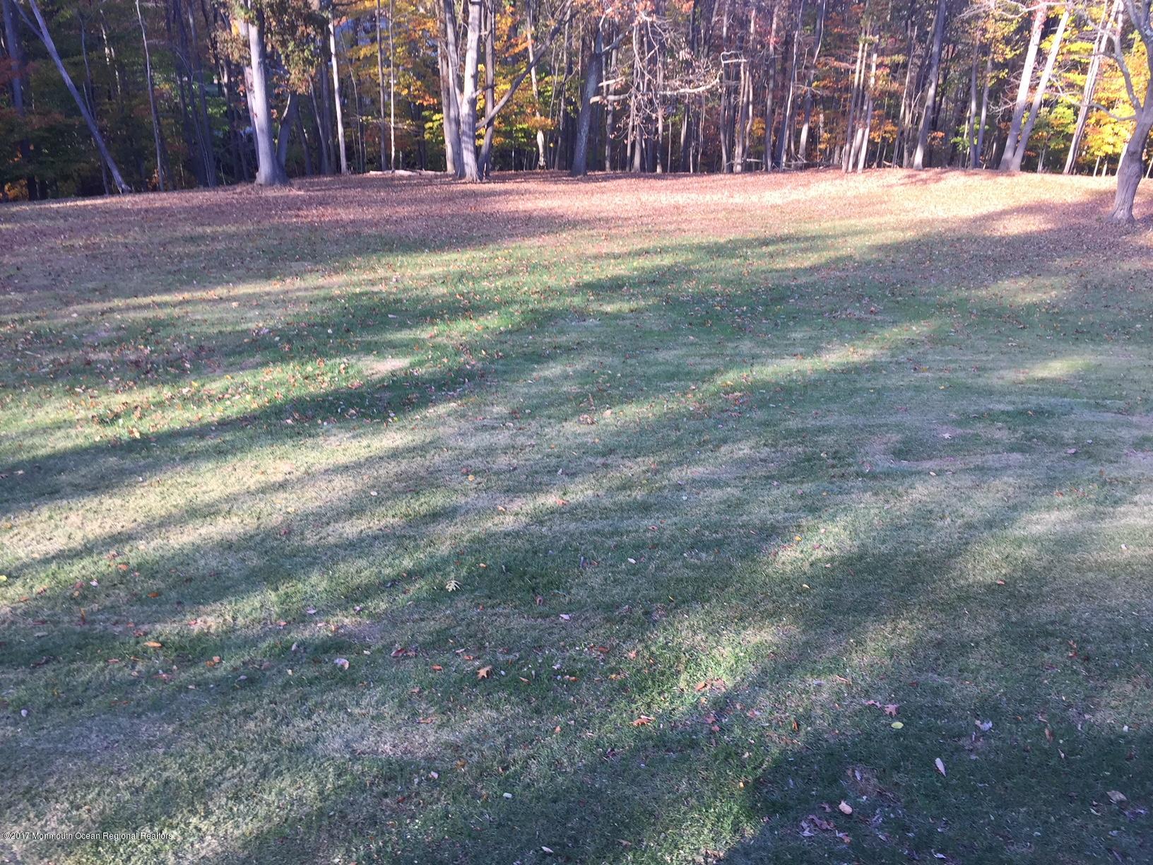 101 Clover Hill Road Colts Neck, NJ 07722 - Photo 5 of 6 IMG_6136
