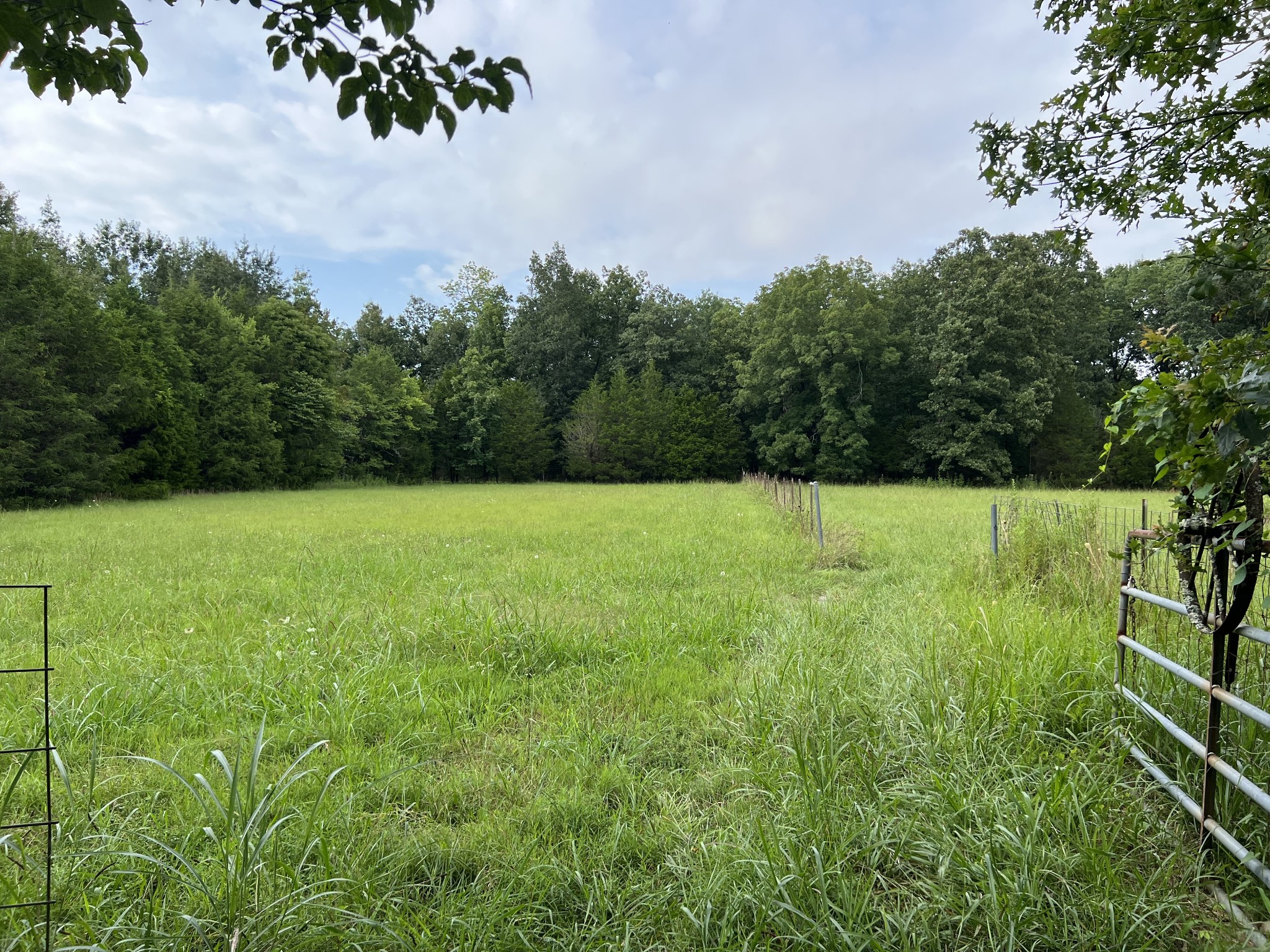3038 Flat Woods Road Lebanon, TN 37090 - Photo 3 of 4