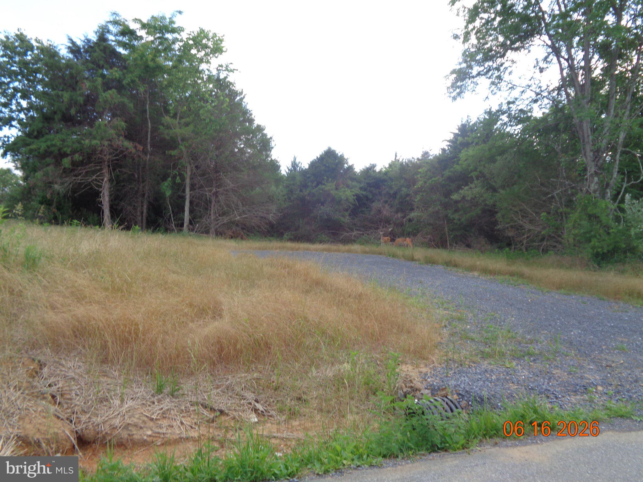 a view of a field with trees in the background