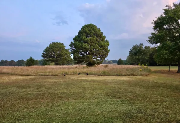 $374,000 | 905 Golf Drive, Saulsbury, TN 38067