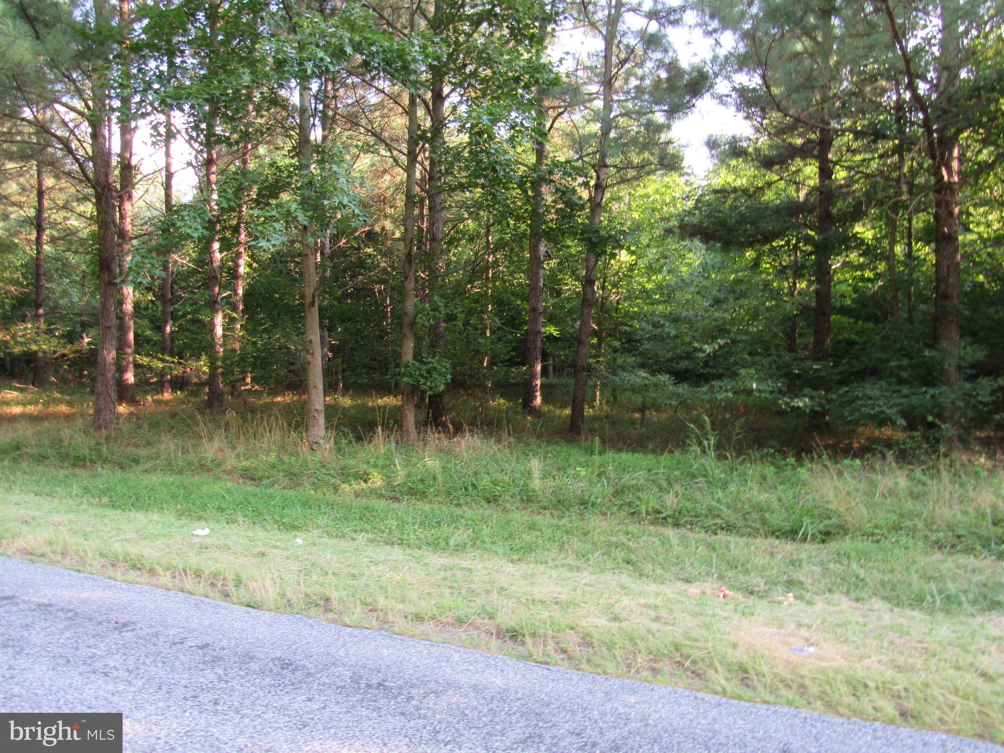 Hardscrabble Road Georgetown, DE 19947 - Photo 7 of 7 Gallery Image 7