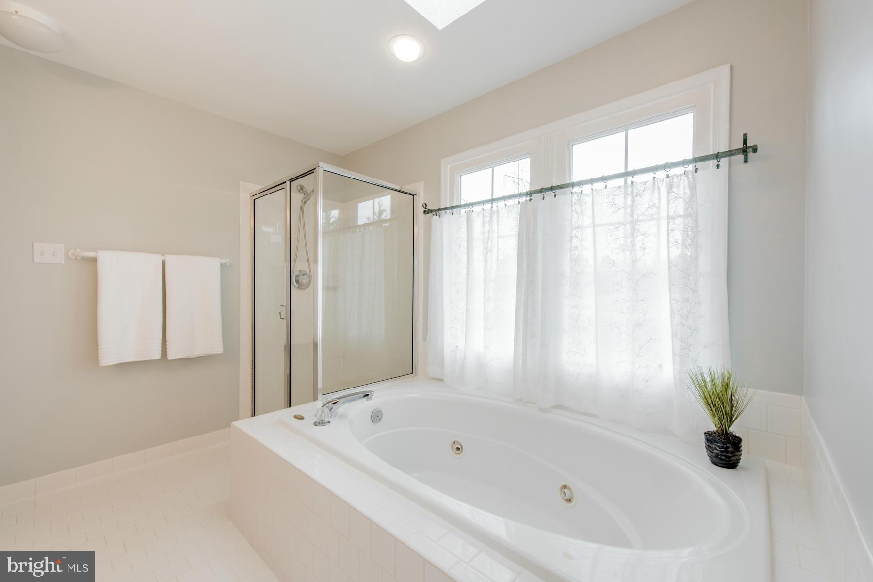 5241 Rising Sun Lane Ellicott City, MD 21043 - Photo 18 of 30 Bath (Master)