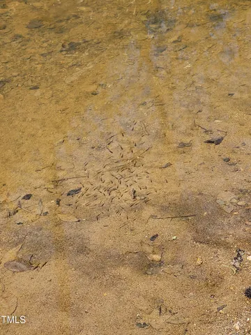 $175,000 | 9037 Highway 96, Oxford, NC 27565