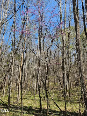 $175,000 | 9037 Highway 96, Oxford, NC 27565