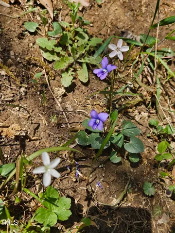 $175,000 | 9037 Highway 96, Oxford, NC 27565