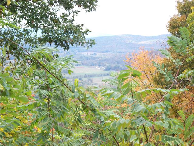 256 Vista Vue Trail Pelham, TN 37366 - Photo 3 of 20