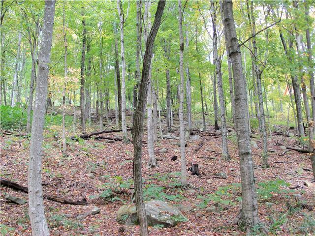 256 Vista Vue Trail Pelham, TN 37366 - Photo 10 of 20