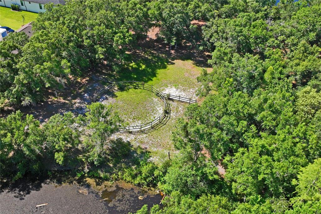 3530 Old Keystone Road Tarpon Springs, FL 34688 - Photo 57 of 71