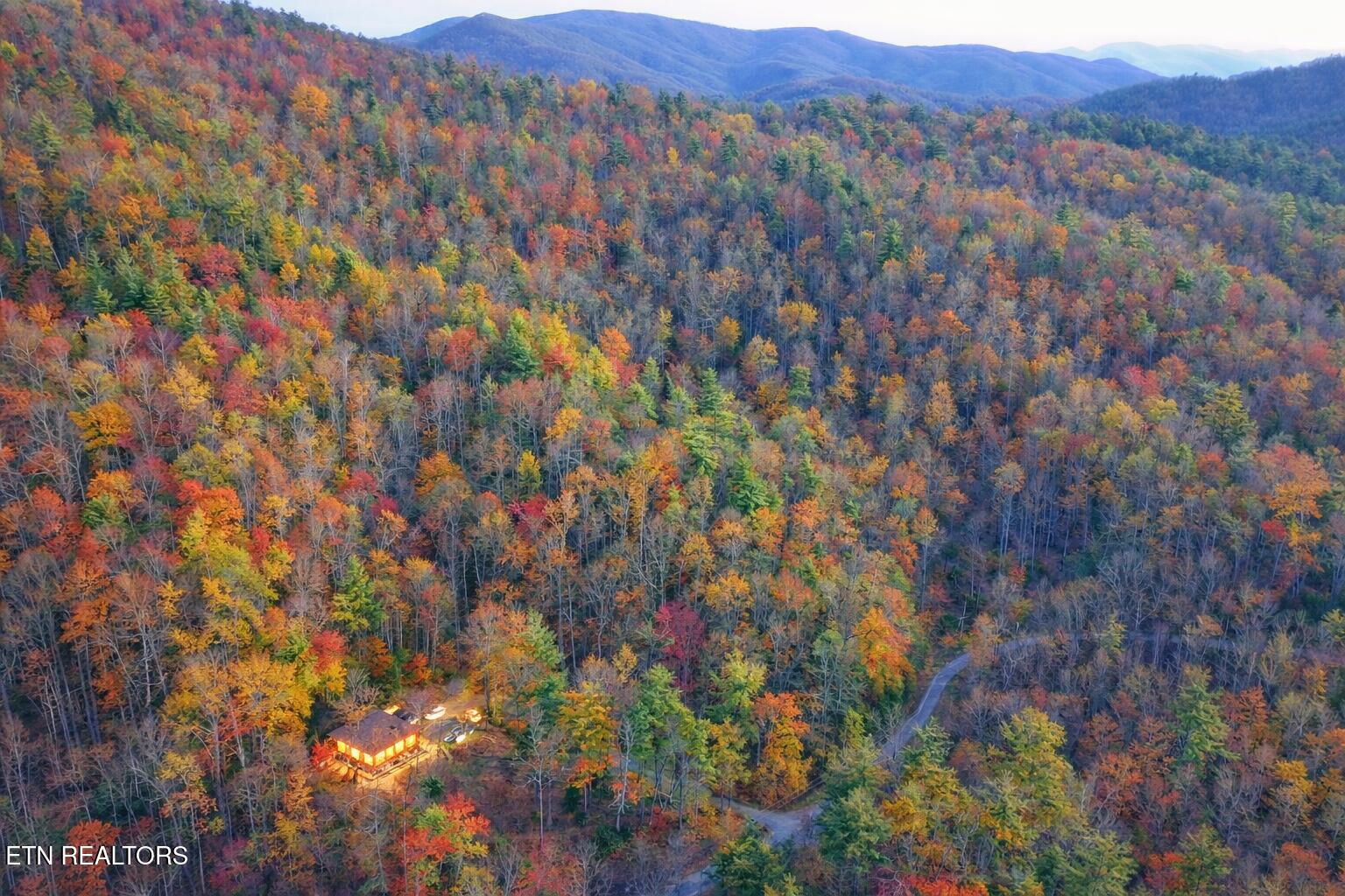 132 Sugar Maple Way Del Rio, TN 37727 - Photo 2 of 58 Serene cabin in mtns
