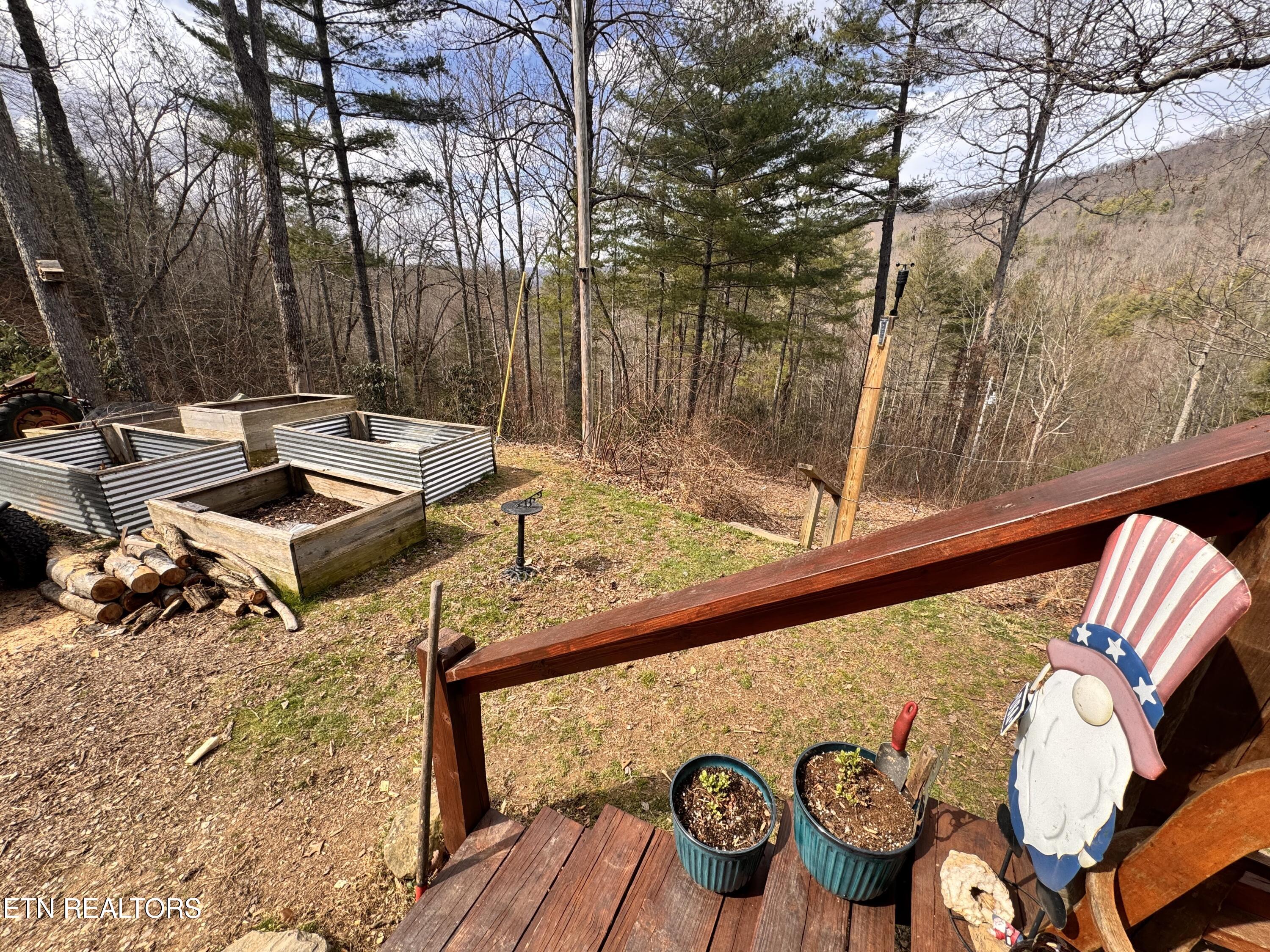 132 Sugar Maple Way Del Rio, TN 37727 - Photo 34 of 58 Gardens