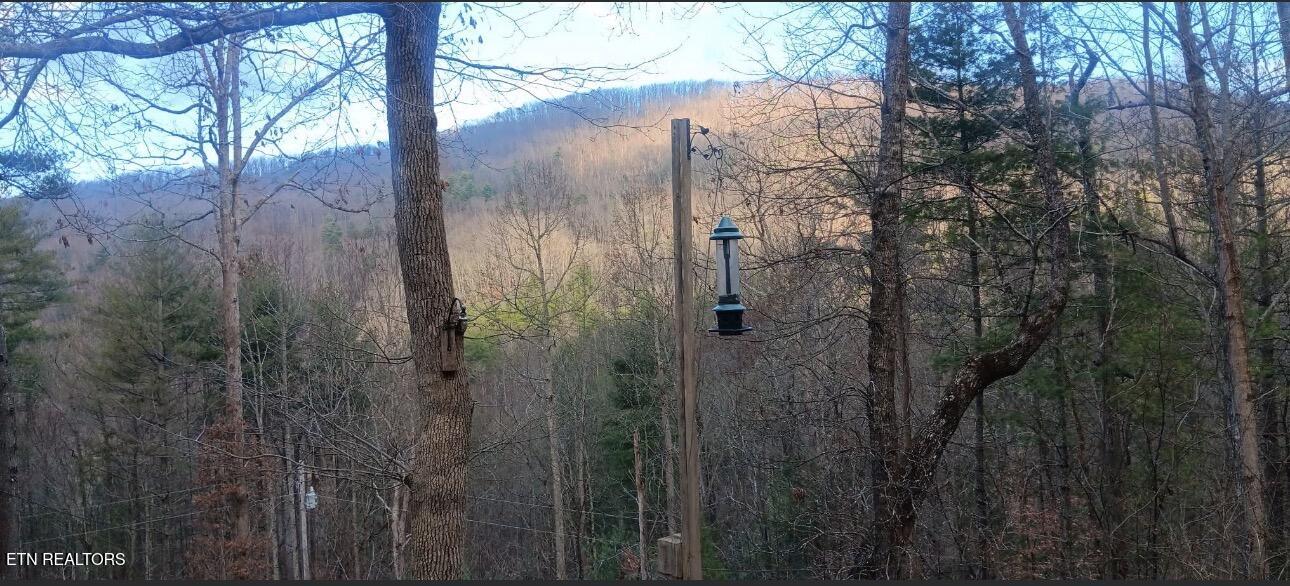 132 Sugar Maple Way Del Rio, TN 37727 - Photo 36 of 58 Raven Mountain