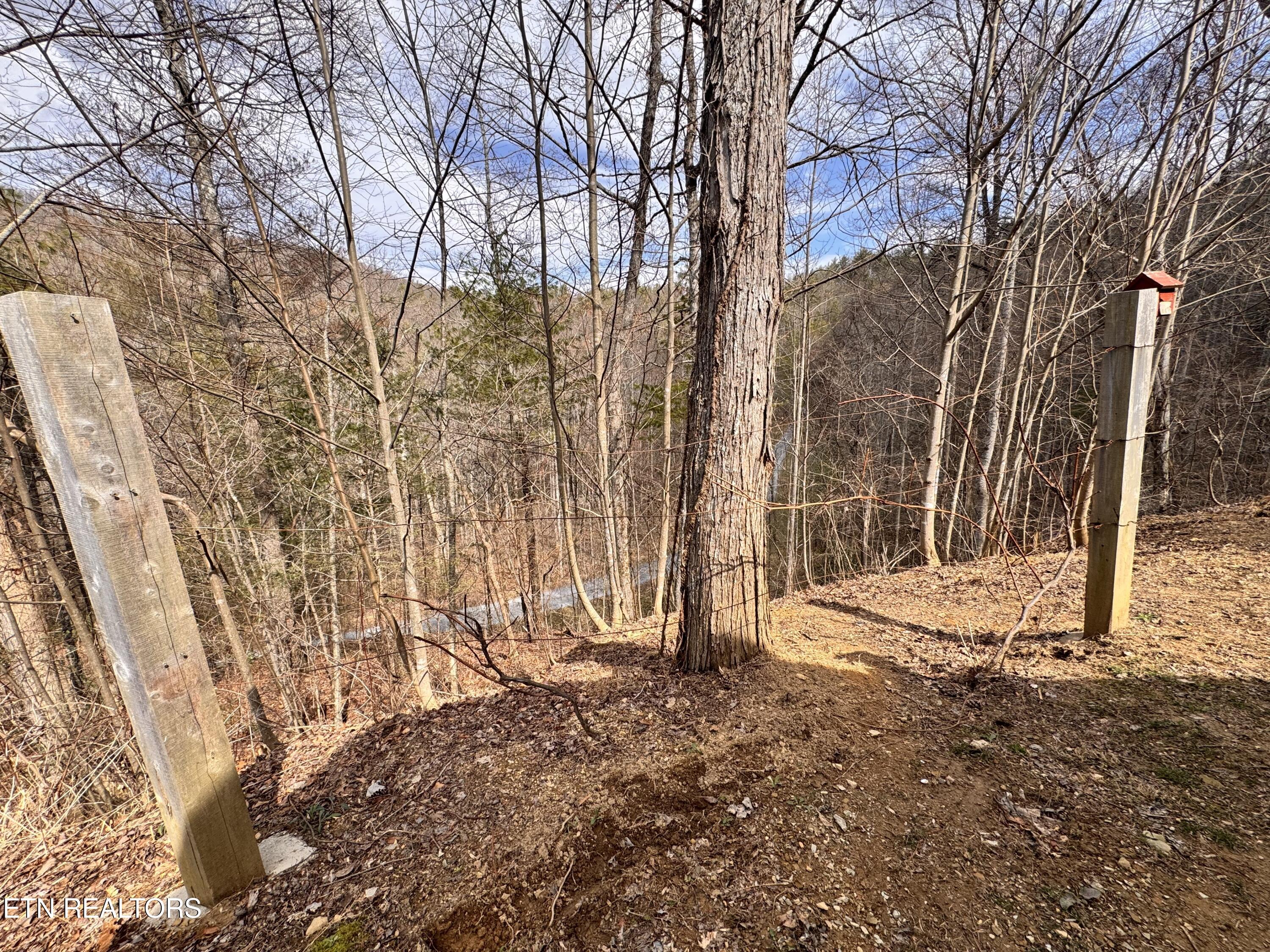 132 Sugar Maple Way Del Rio, TN 37727 - Photo 37 of 58 Grapevines