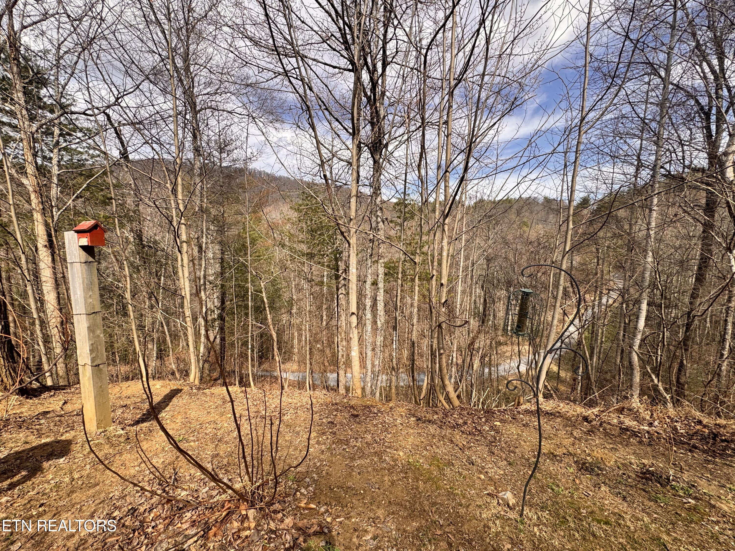 132 Sugar Maple Way Del Rio, TN 37727 - Photo 38 of 58 Side Yard