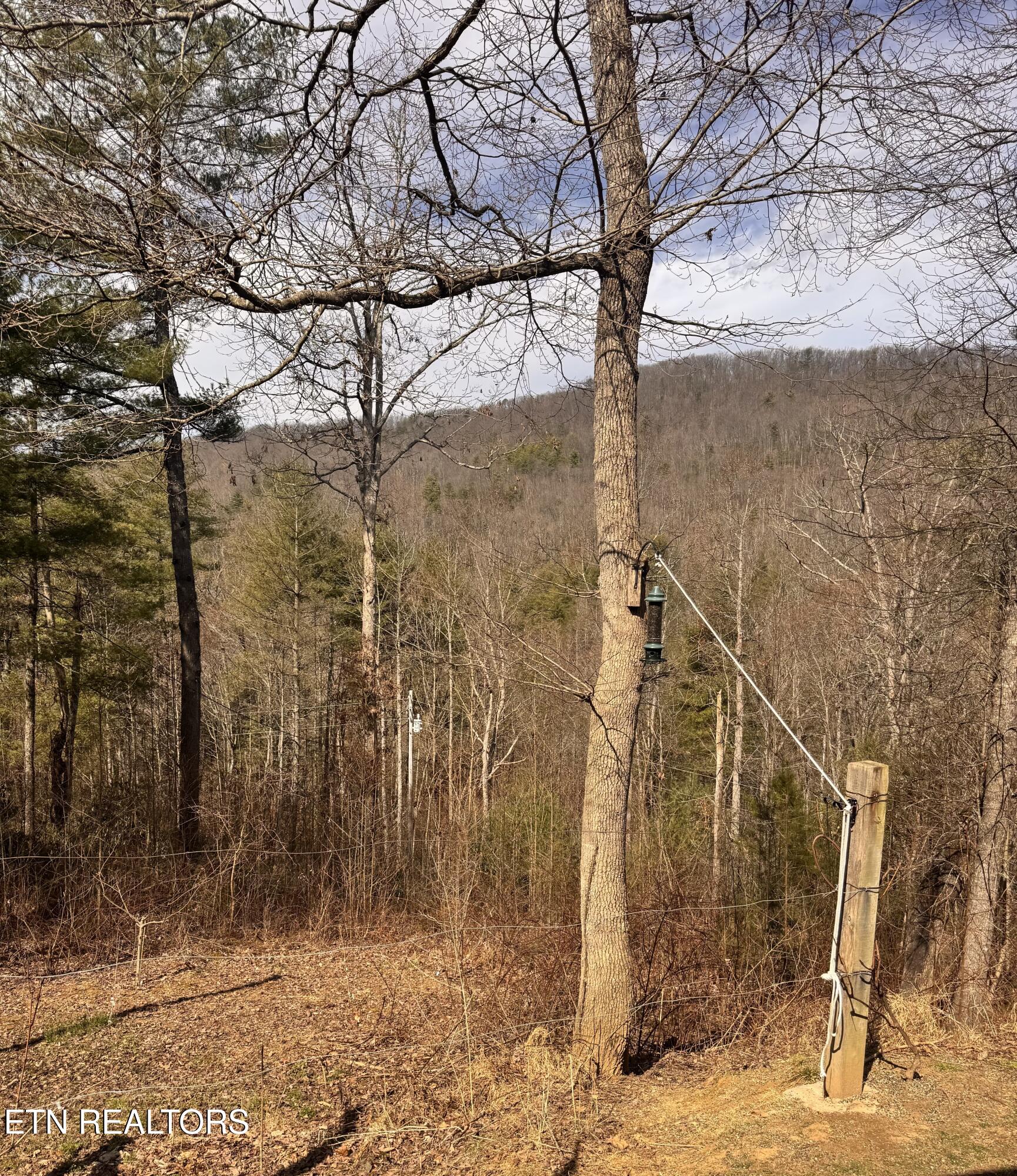 132 Sugar Maple Way Del Rio, TN 37727 - Photo 39 of 58 Property