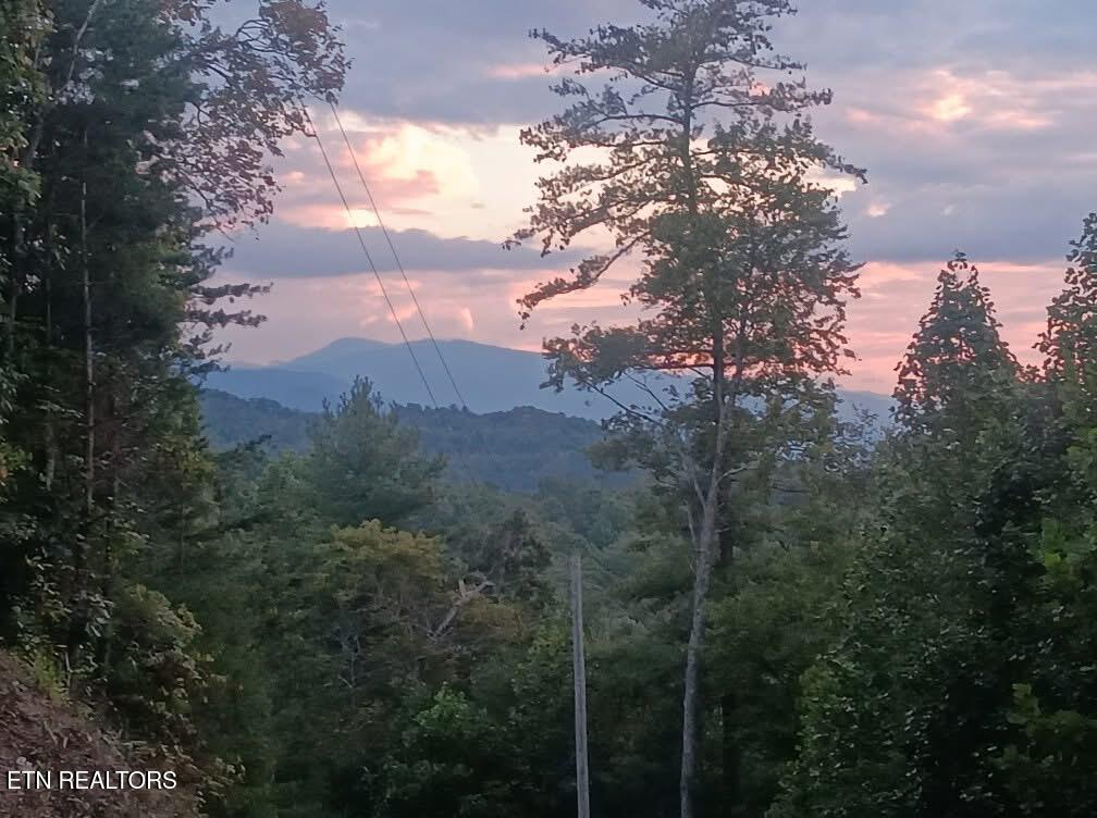 132 Sugar Maple Way Del Rio, TN 37727 - Photo 4 of 58 Mountain View from Top of Property