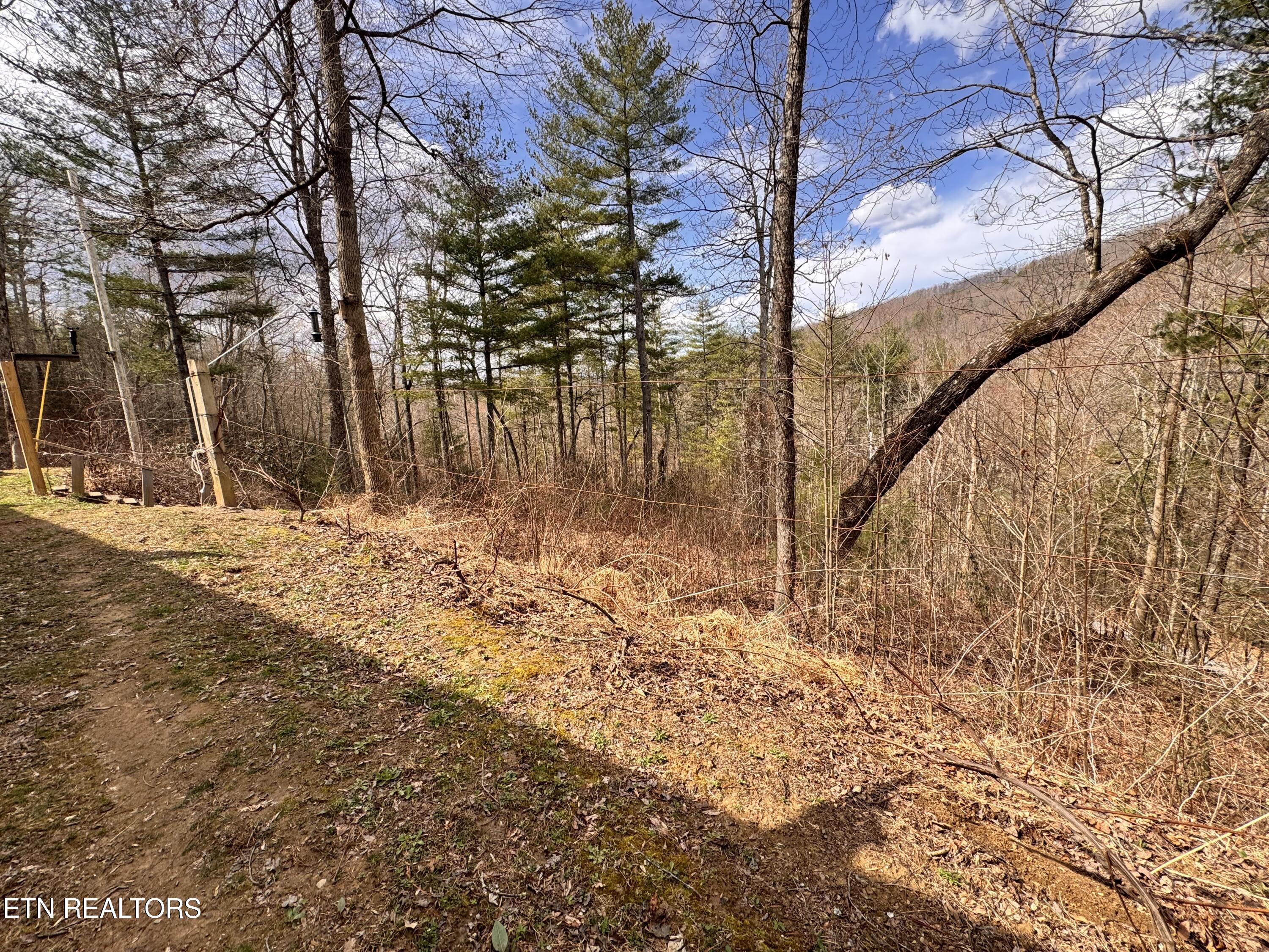 132 Sugar Maple Way Del Rio, TN 37727 - Photo 41 of 58 Property