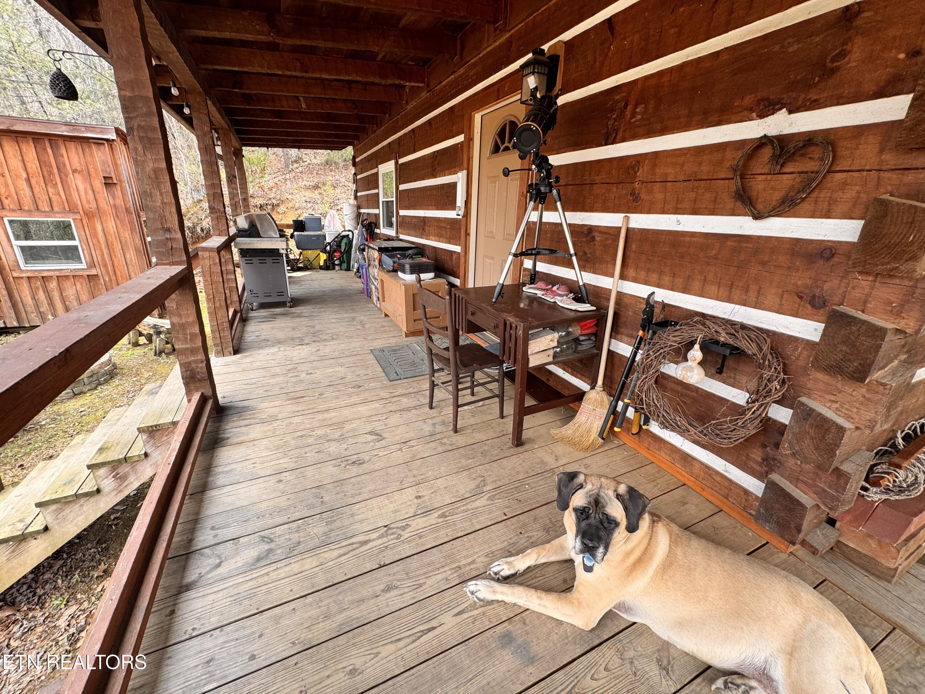 132 Sugar Maple Way Del Rio, TN 37727 - Photo 43 of 58 Back Porch