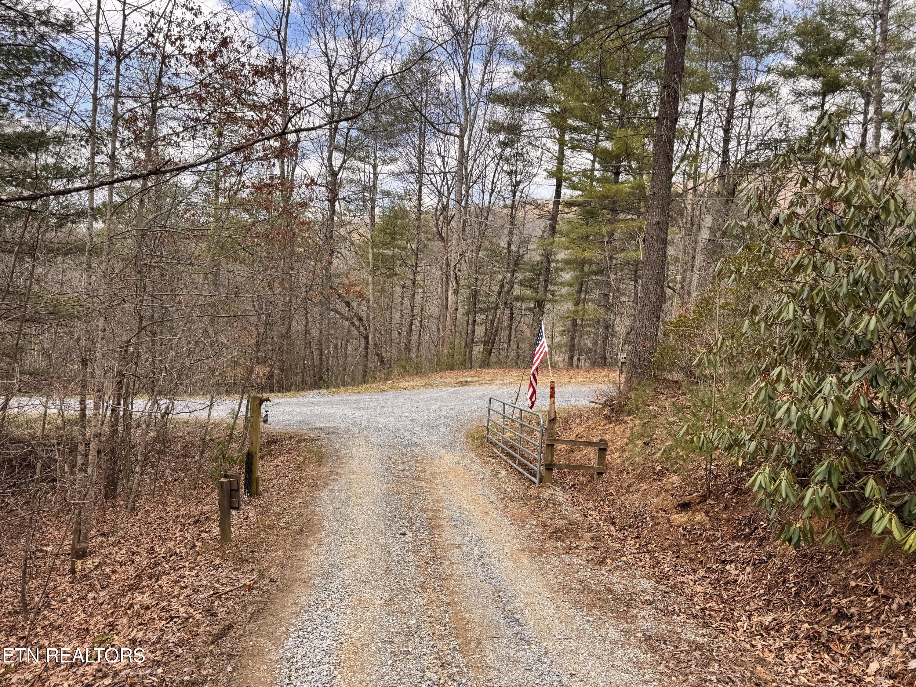 132 Sugar Maple Way Del Rio, TN 37727 - Photo 47 of 58 Driveway