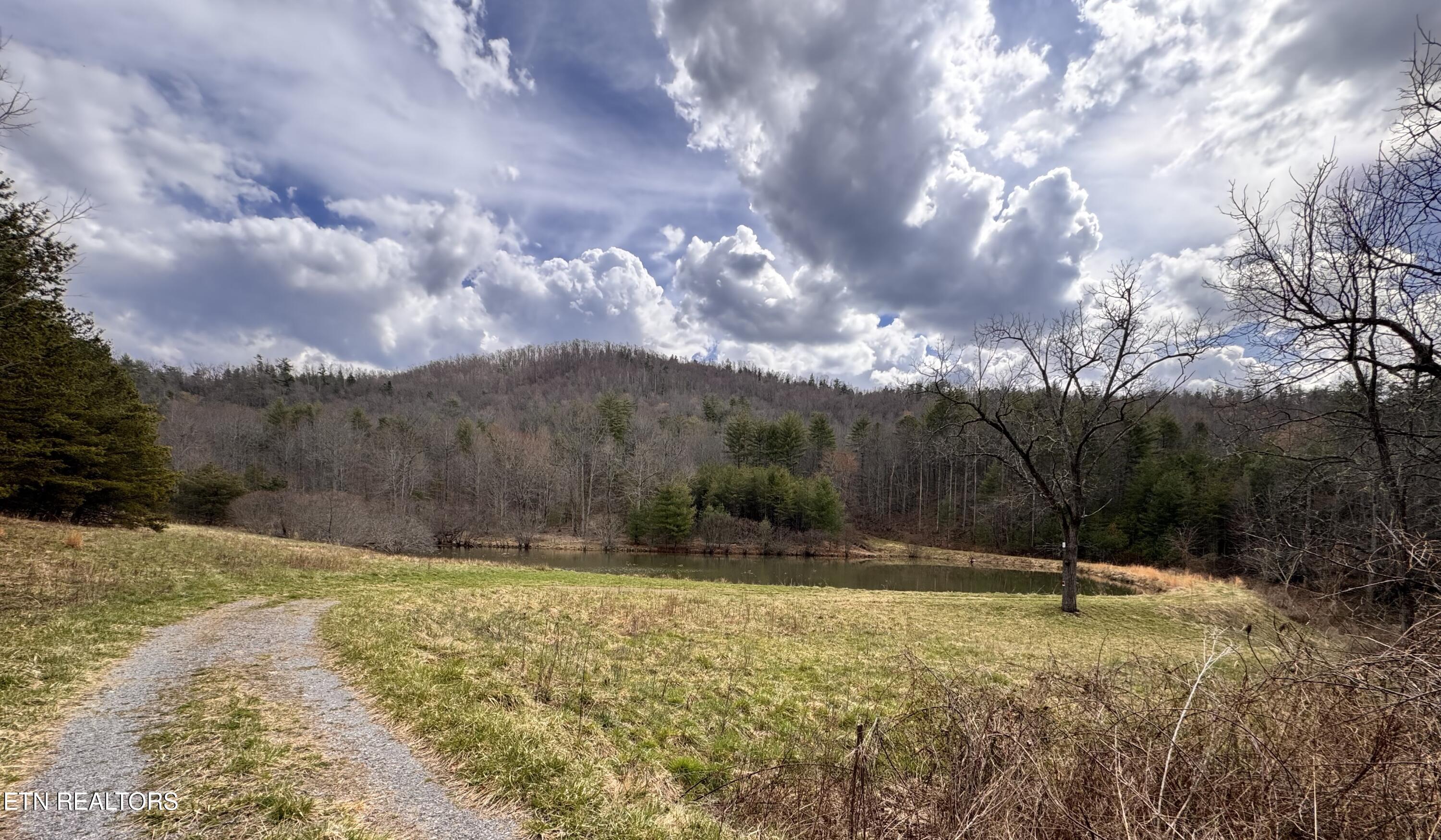 132 Sugar Maple Way Del Rio, TN 37727 - Photo 49 of 58 Community Pond